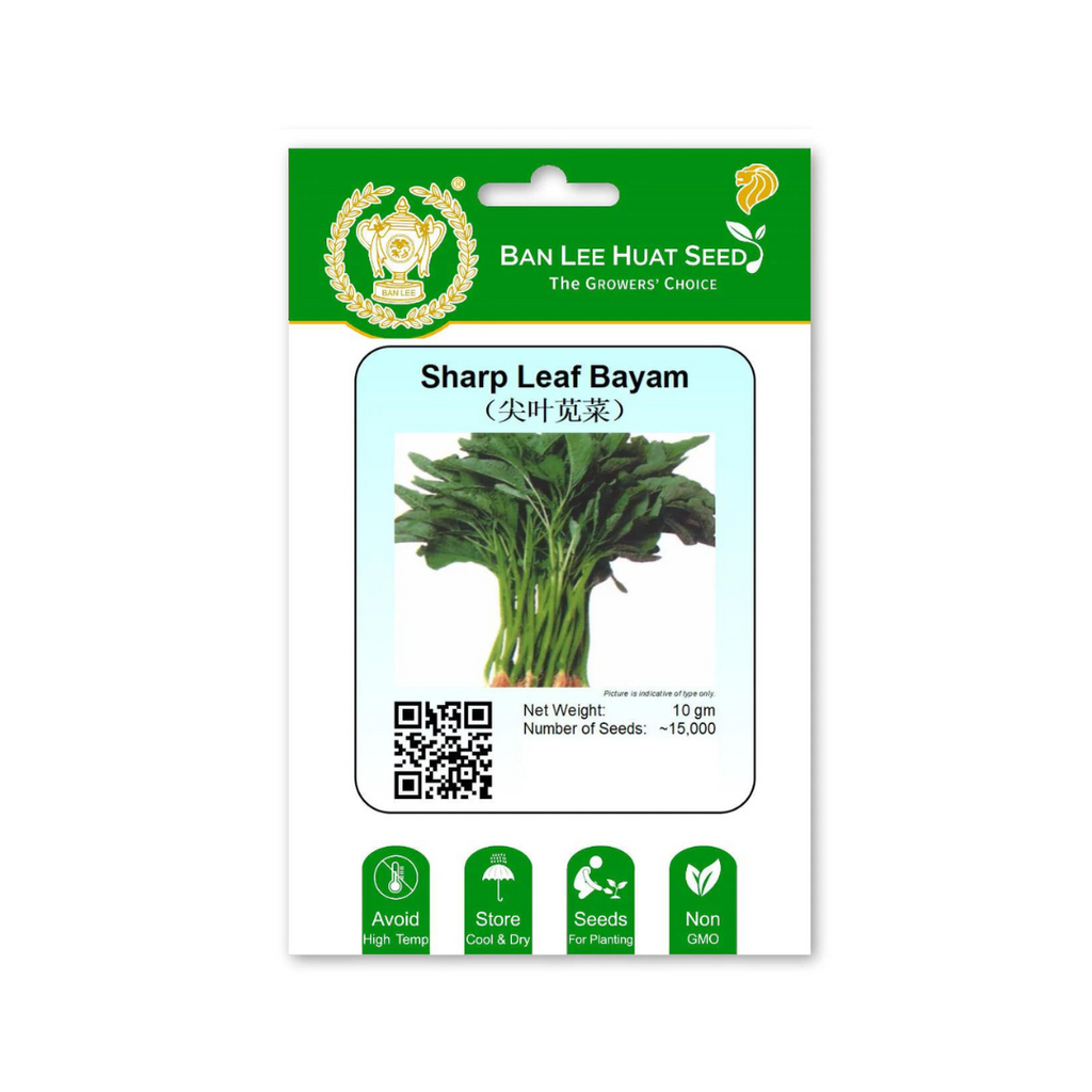 BAN LEE HUAT Seed HC04 Sharp Leaf Bayam