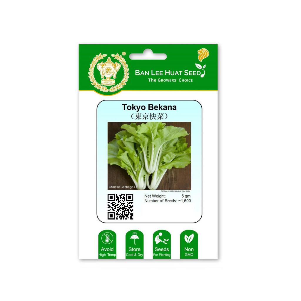 BAN LEE HUAT Seed HD22 Tokyo Bekana (Chinese Cabbage F1)