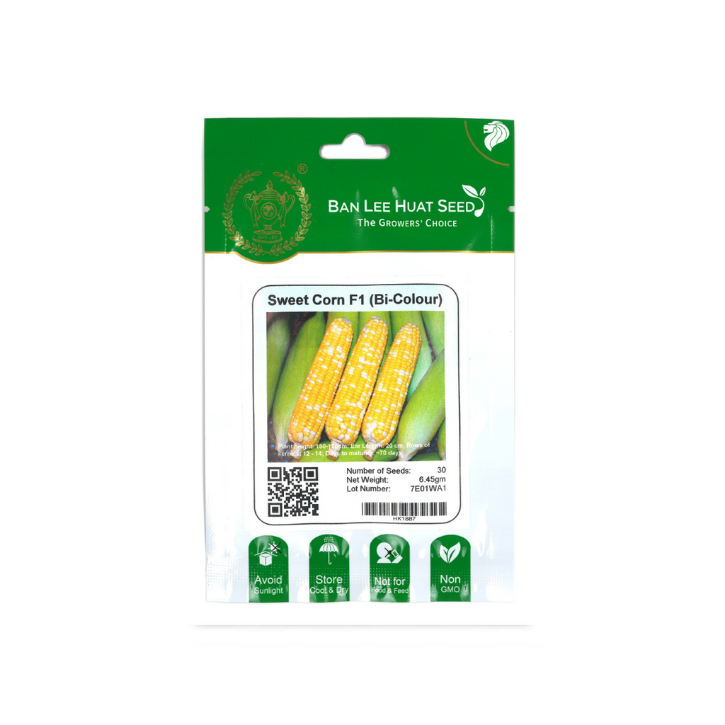 BAN LEE HUAT Seed HH45 Sweet Corn F1 (Bi-Colour)