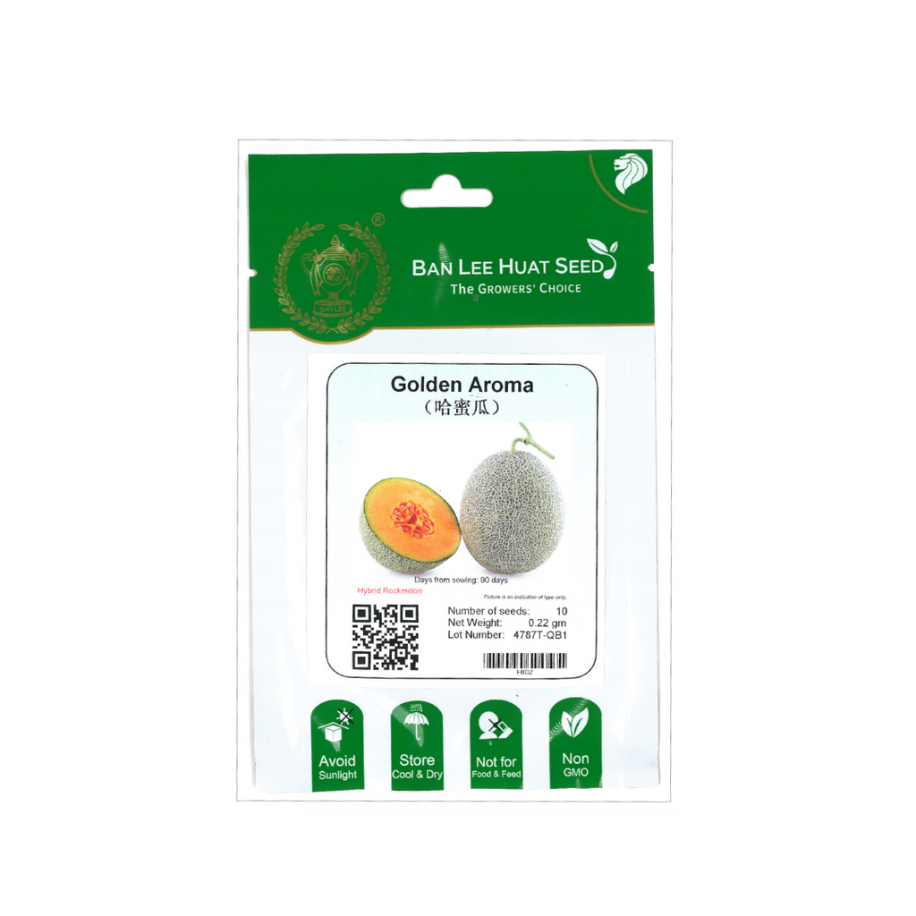 BAN LEE HUAT Seed HI02 Golden Aroma Rockmelon (Hybrid)