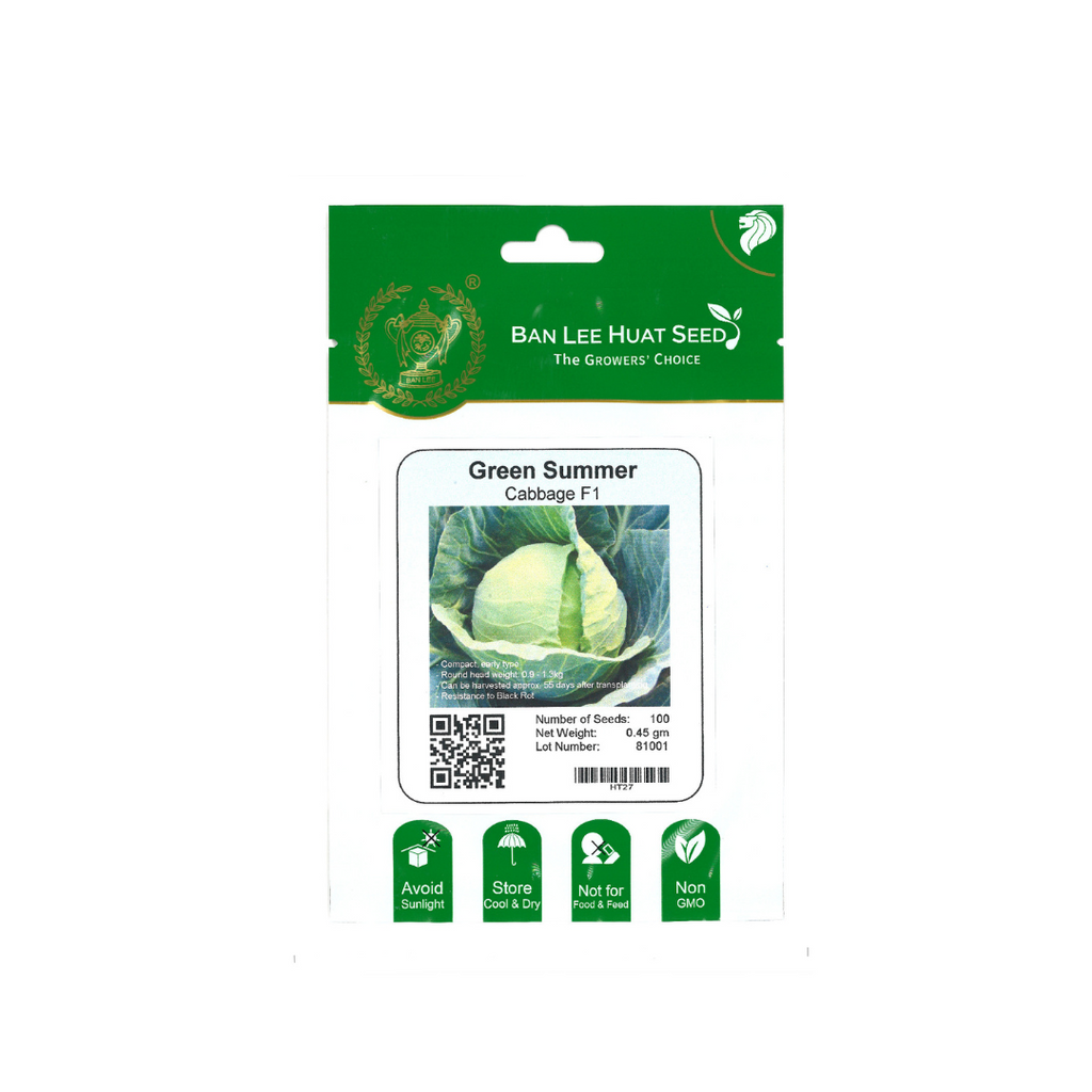 BAN LEE HUAT Seed HD35 Green Summer Cabbage F1