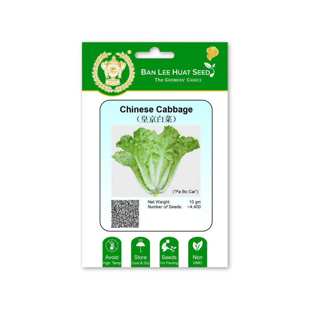 BAN LEE HUAT Seed HD09 Chinese Cabbage