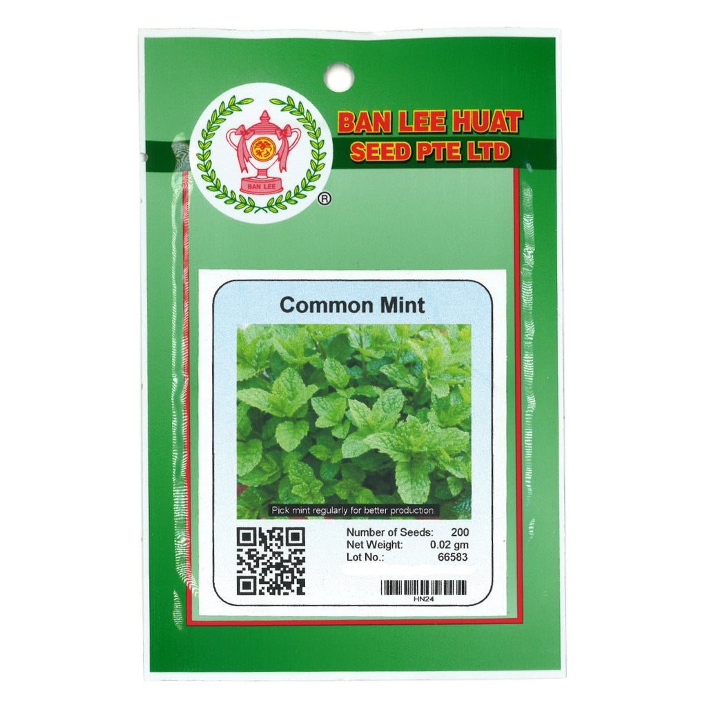 BAN LEE HUAT Seed HN24 Common Mint