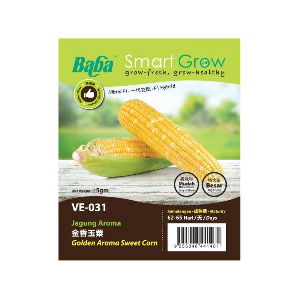 BABA Seed VE-031 Golden Aroma Sweet Com