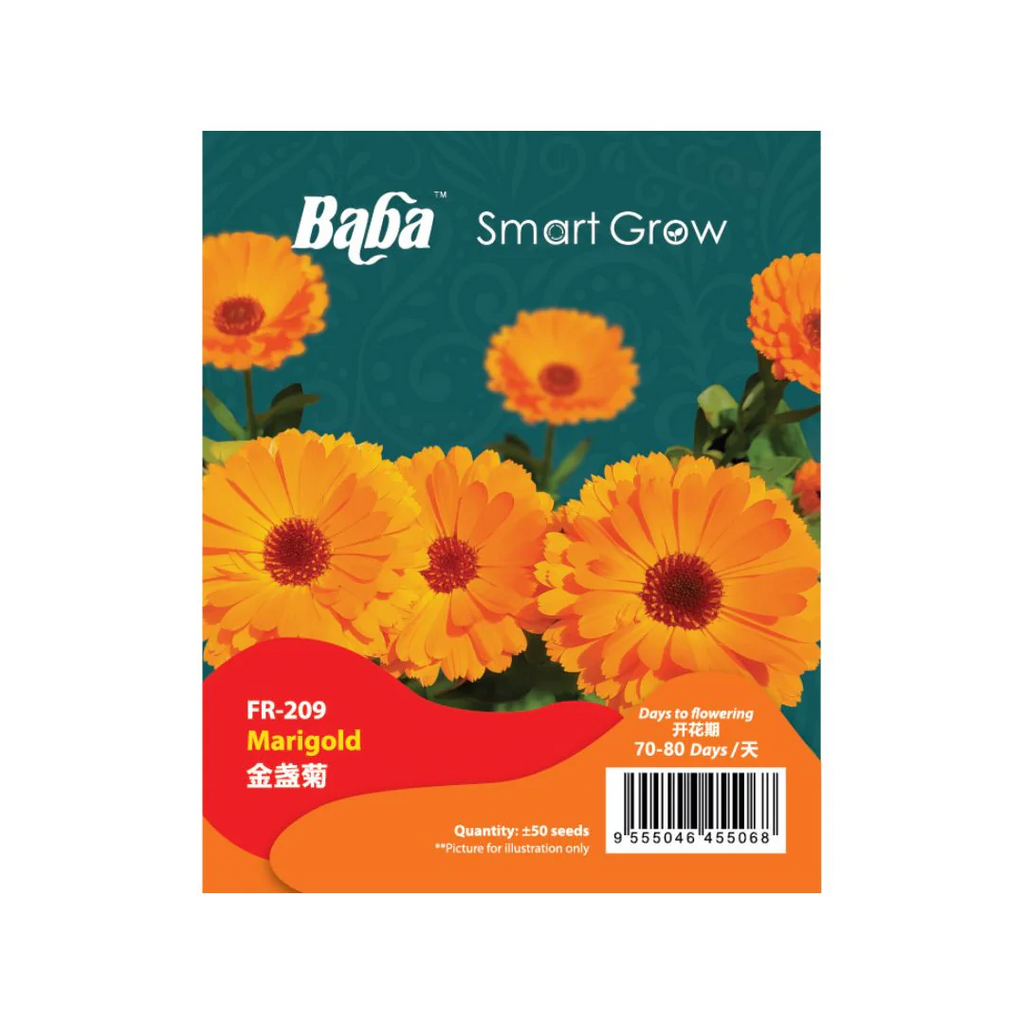 BABA Seed FR-209 Marigold