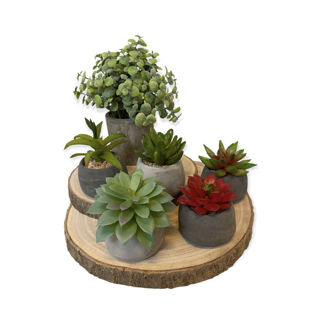 Artificial Potted Mini Plant Set (0.2m)