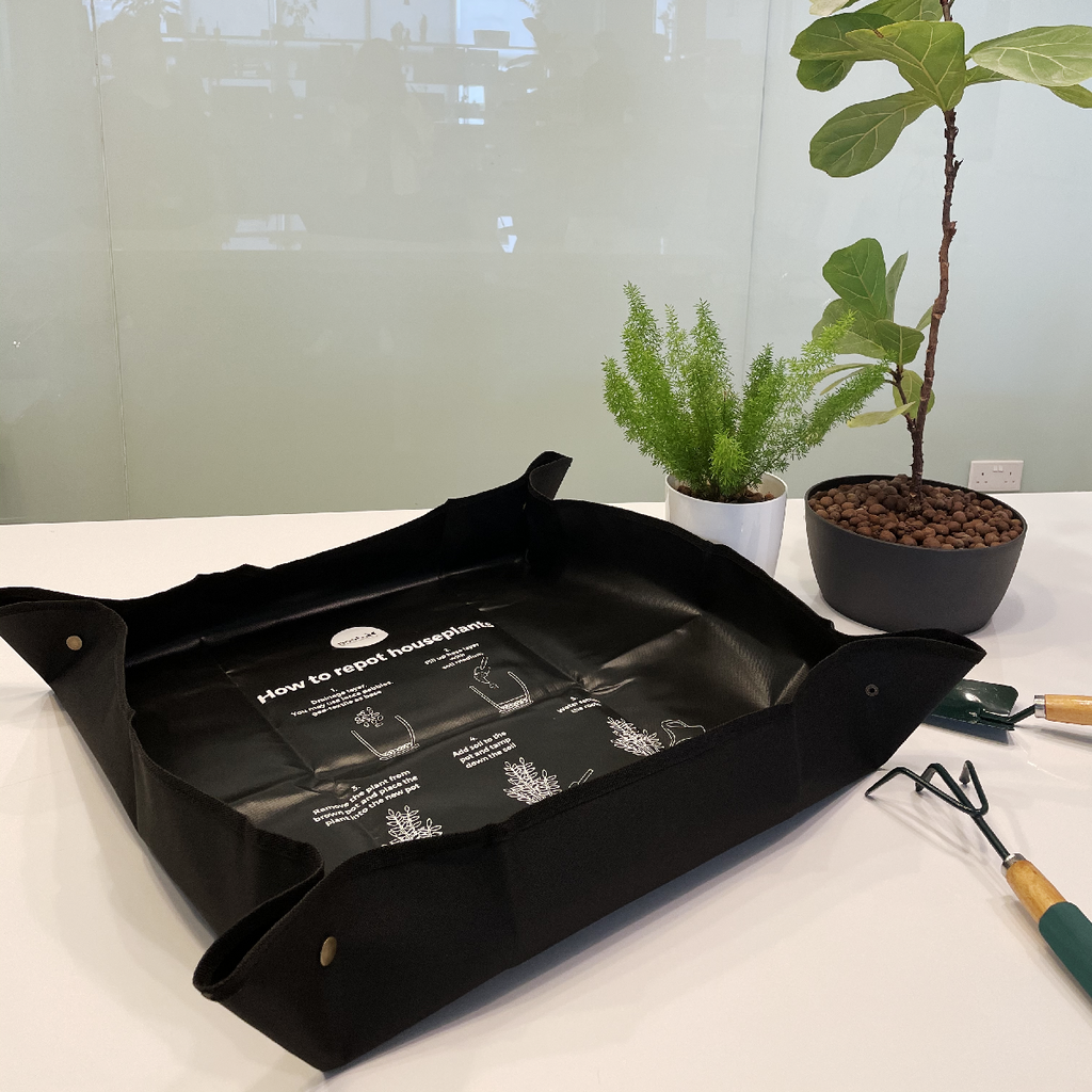 Gardening Mat with Repotting Guide