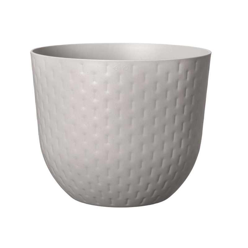 Monstera deliciosa in Pebble Grey Fuente Grains Round (0.6m)