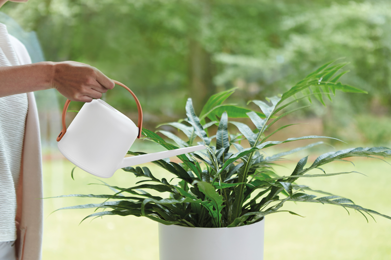 Sago Palm in Delicate Pink B. for Soft Round & White Brique B. for Soft Watering Can