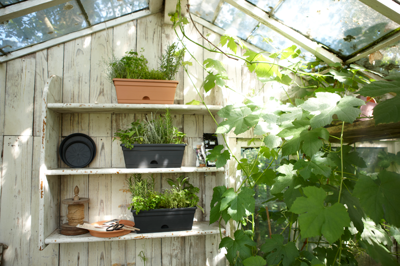Green Basics Trough Mini 30cm in Living Black