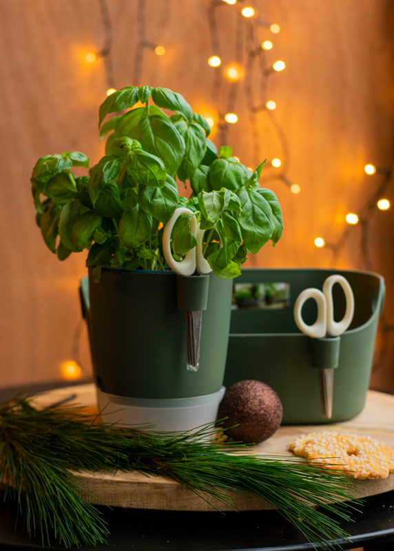 Brussels Herb allin1 13cm in Anthracite