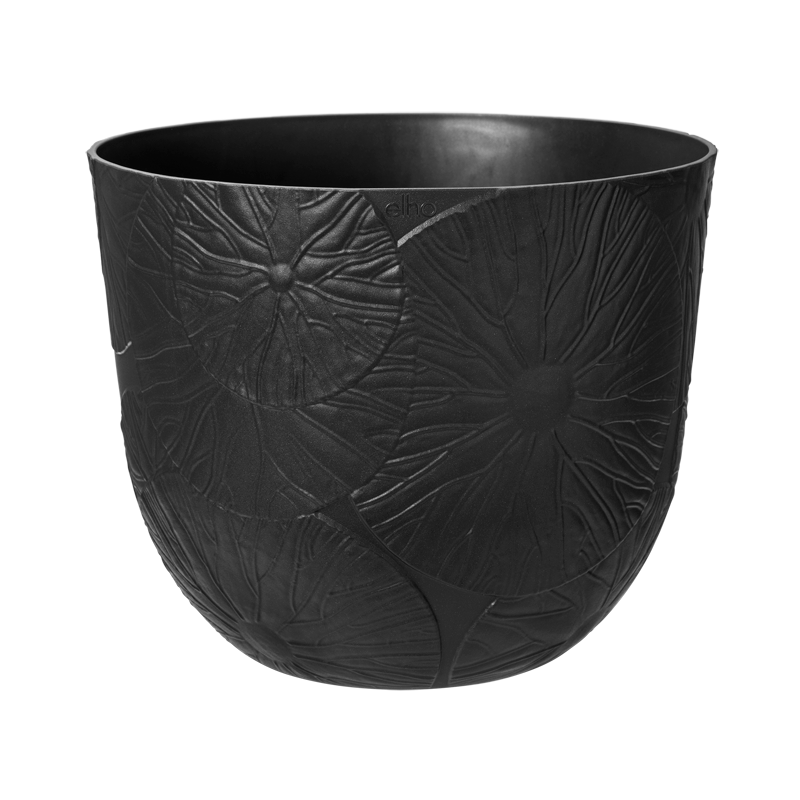 Monstera deliciosa in Onyx Black Fuente Lily Round (0.6m)