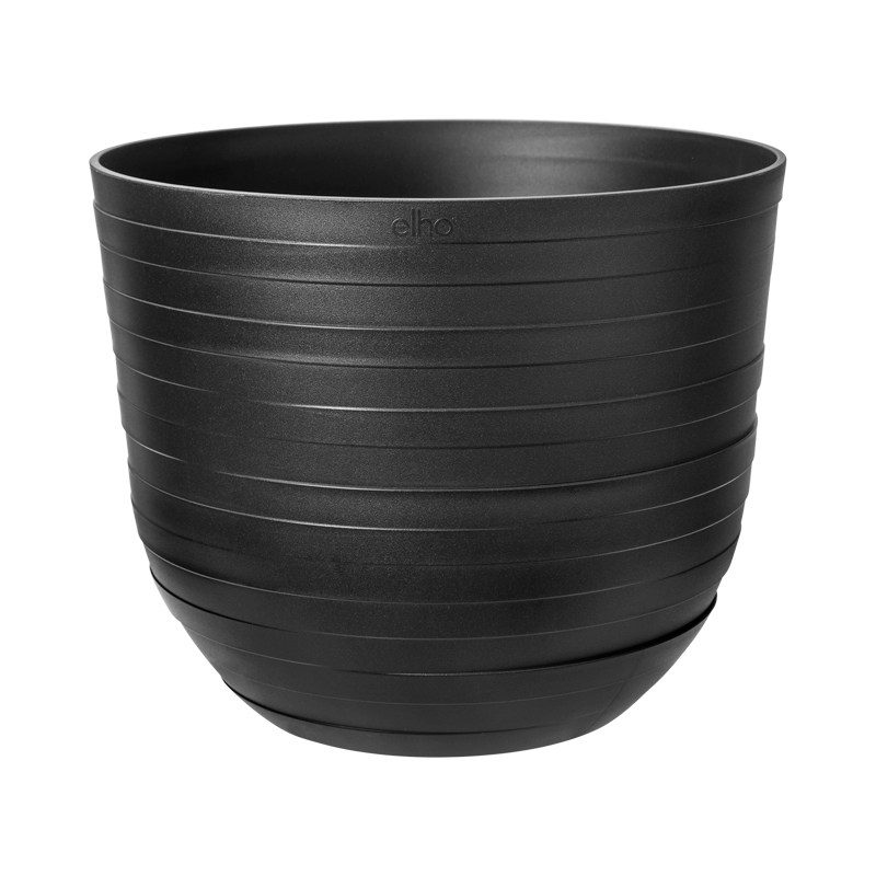 Monstera deliciosa in Onyx Black Fuente Rings Round (0.6m)