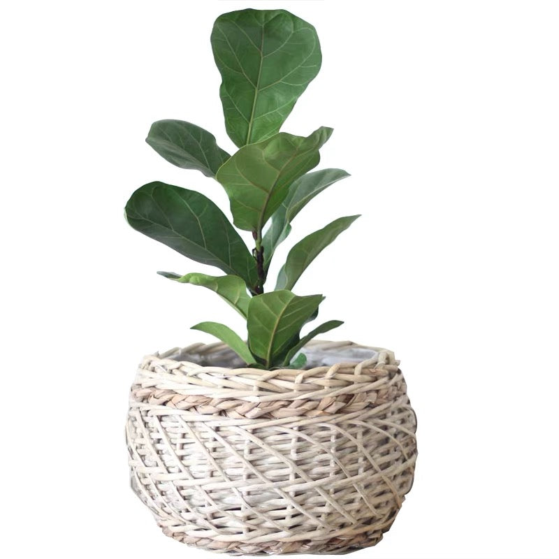 Rattan Basket in Soft Beige, M size