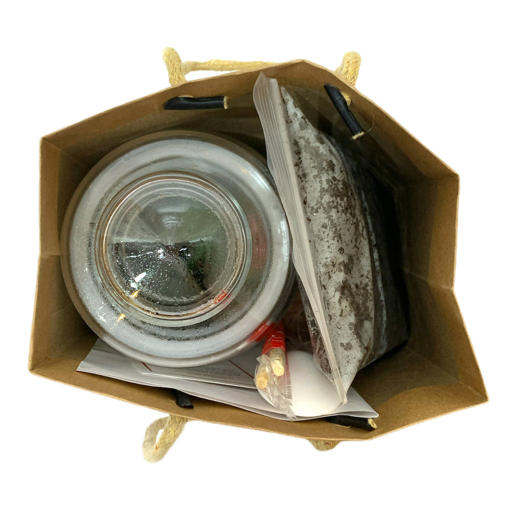 Closed Terrarium DIY Kit