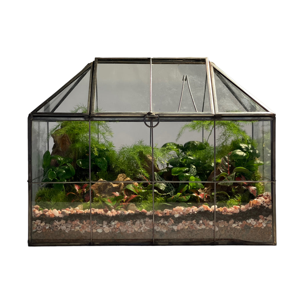 Large Geometric Glass House