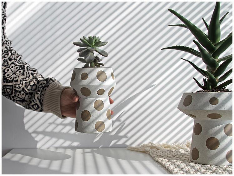 Crassula Ovata, Jade Plant in Wooken Polka Dot Planter (S)