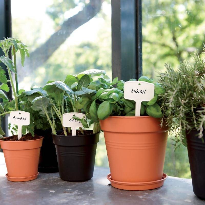 Green Basics Growpot 11cm in Cotton White with 10cm Saucer