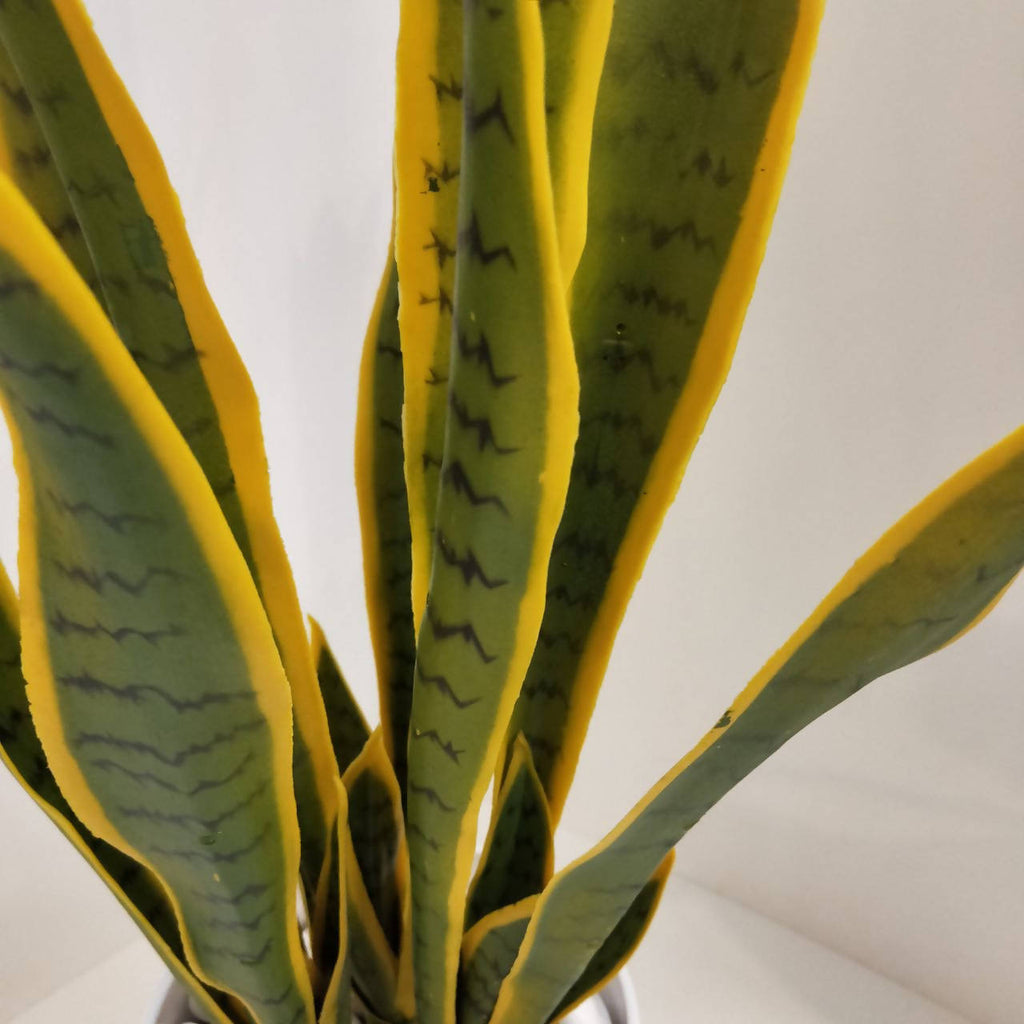 Artificial Potted Snake Plant (Sansevieria Trifasciata) (0.85m)