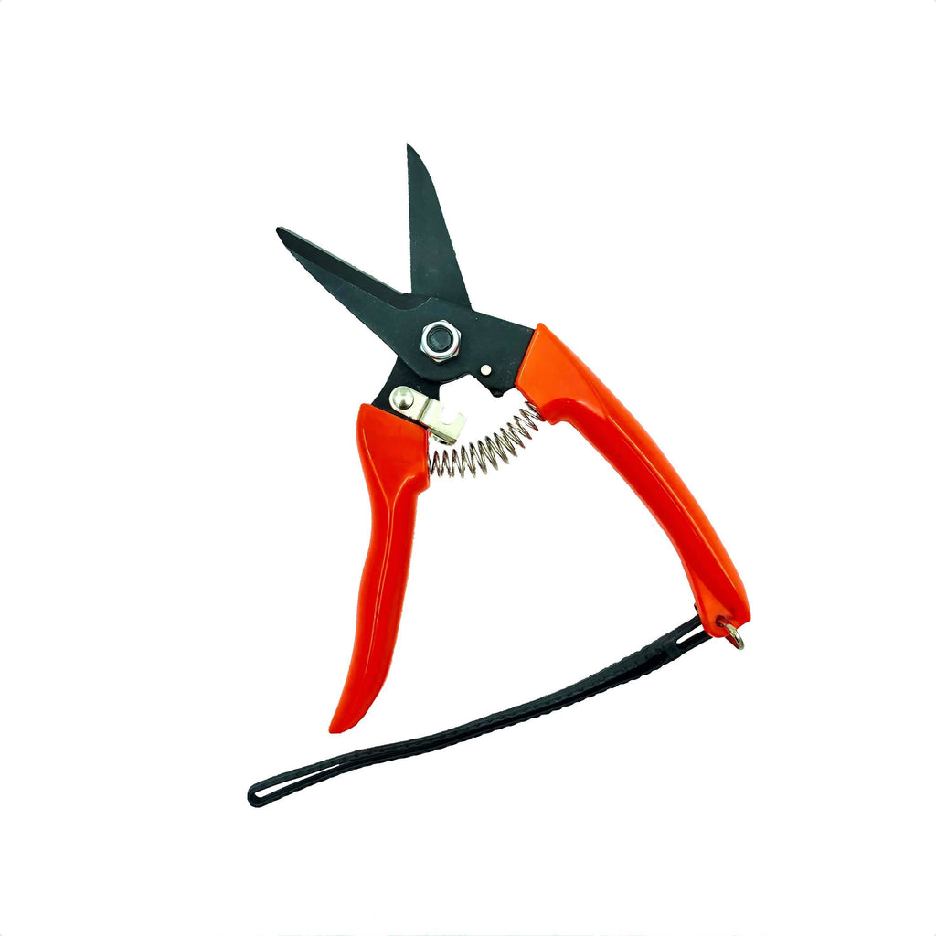 Pruning Shears, Straight Blade (17cm)