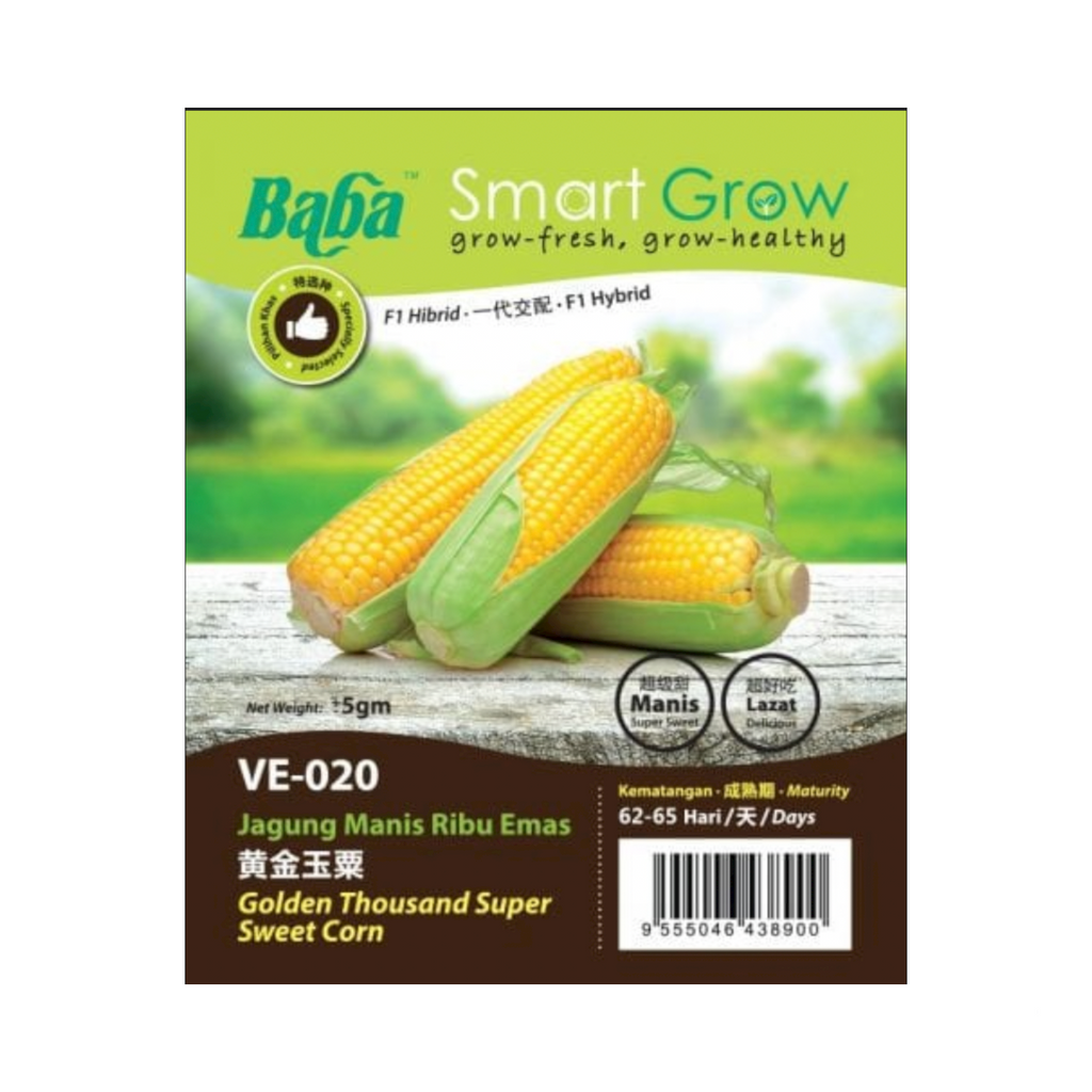 BABA Seed VE-020 Golden Thousand Super Sweet Corn