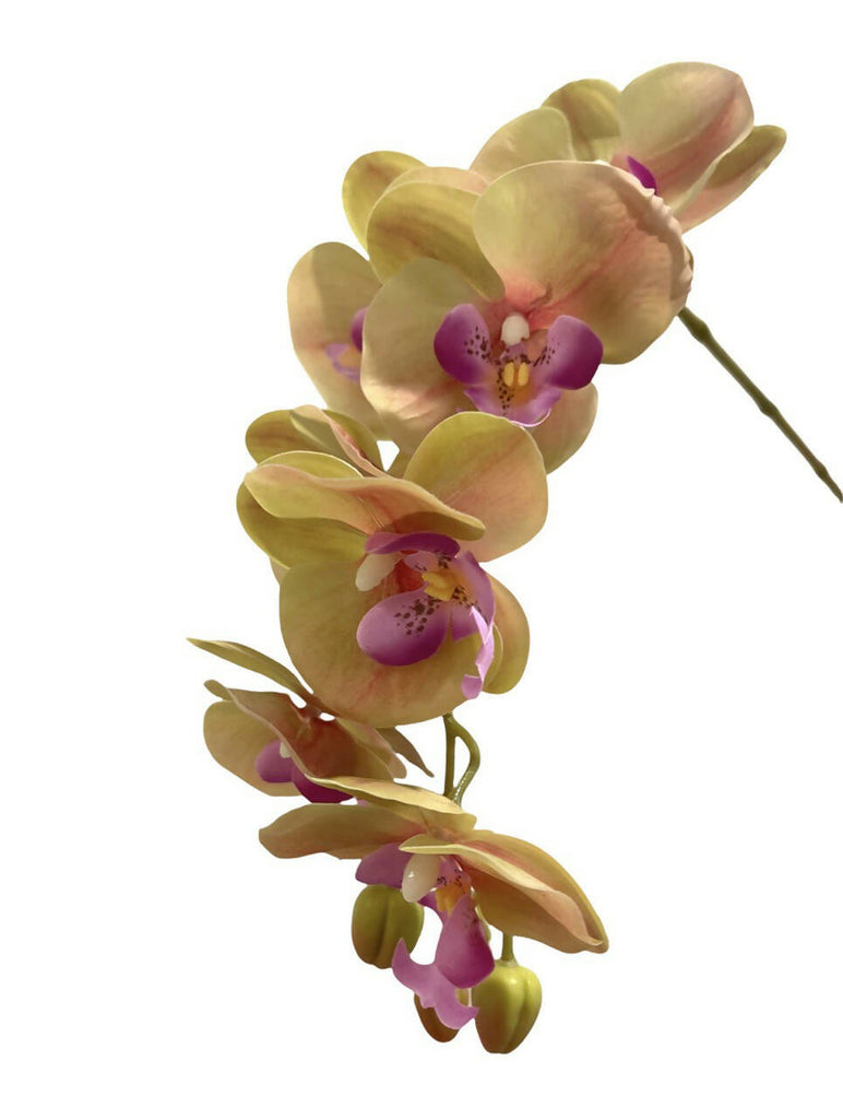 Artificial Single-Stalk Phalaenopsis Orchid Arrangement in Marble-Design Pot with Gold Plate (0.45m)