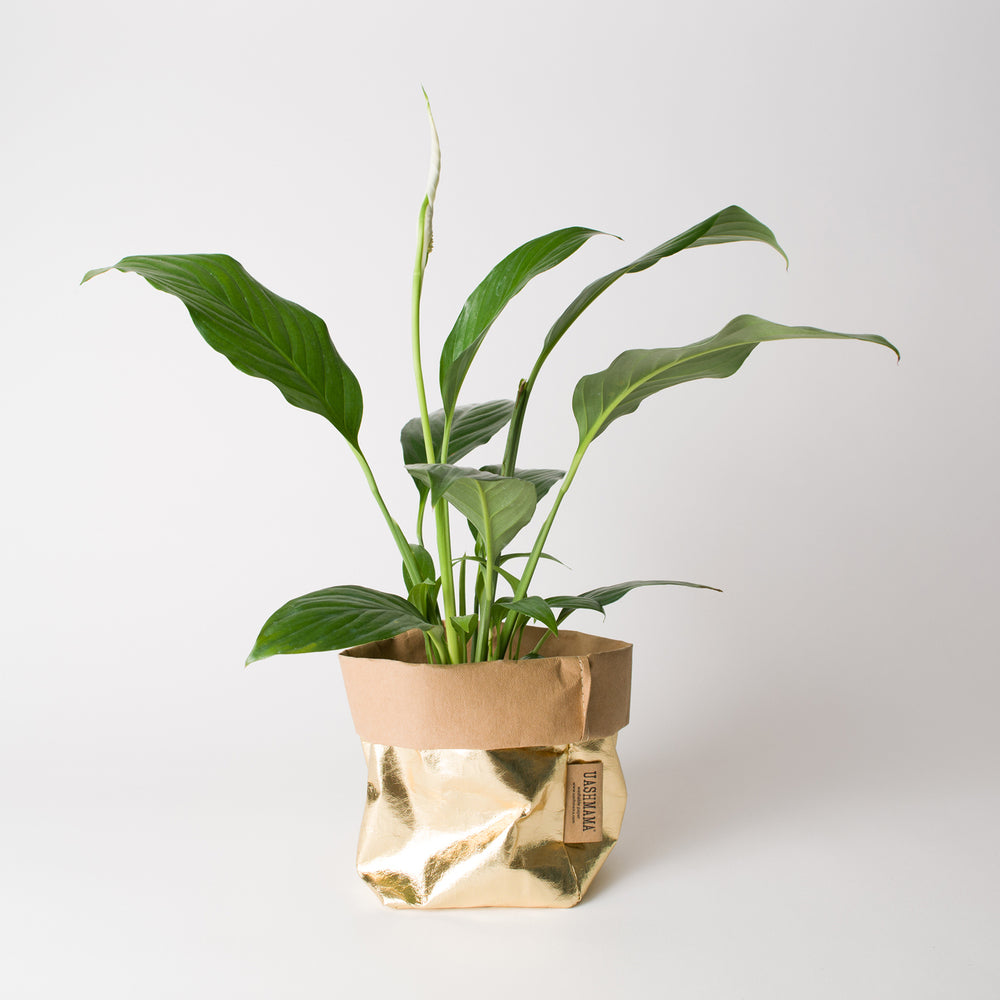 Uashmama, Paper Bag Large in Metallic Rosato