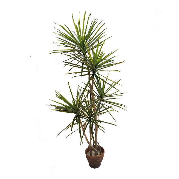 Artificial Yucca Tree (1.85m)