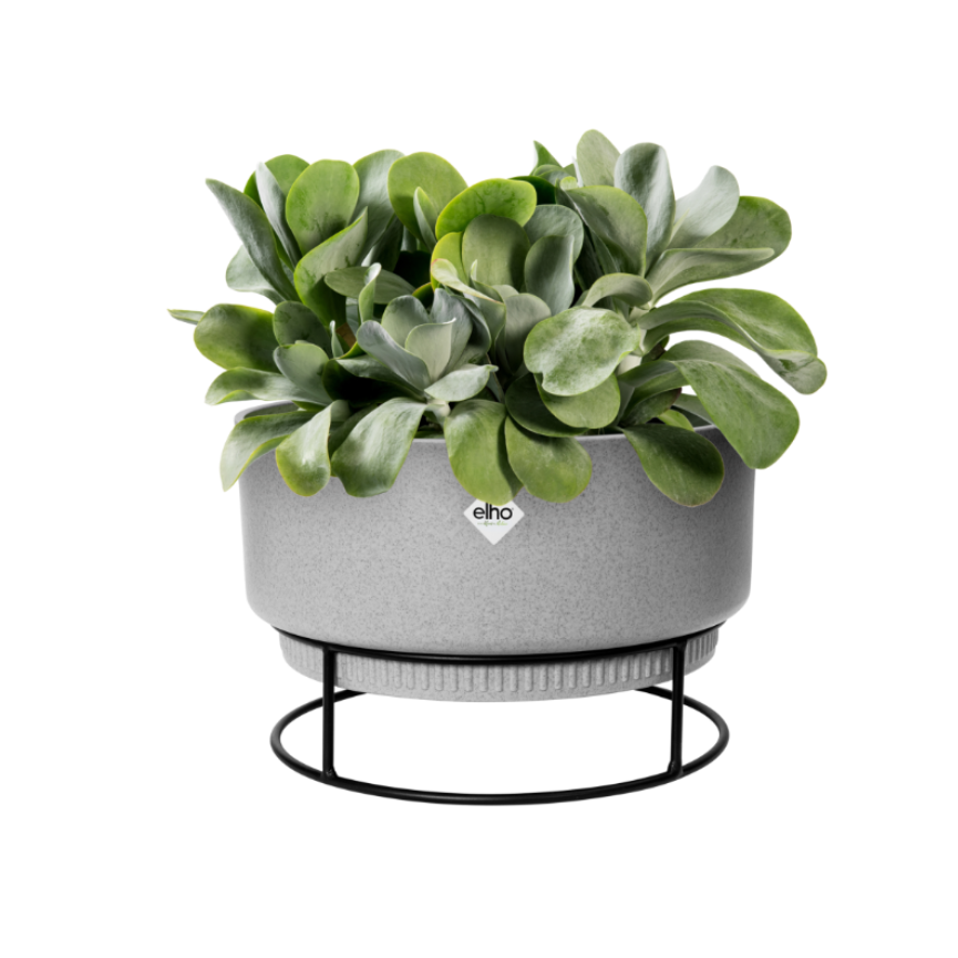 B. for Studio Bowl 30cm in Living Concrete