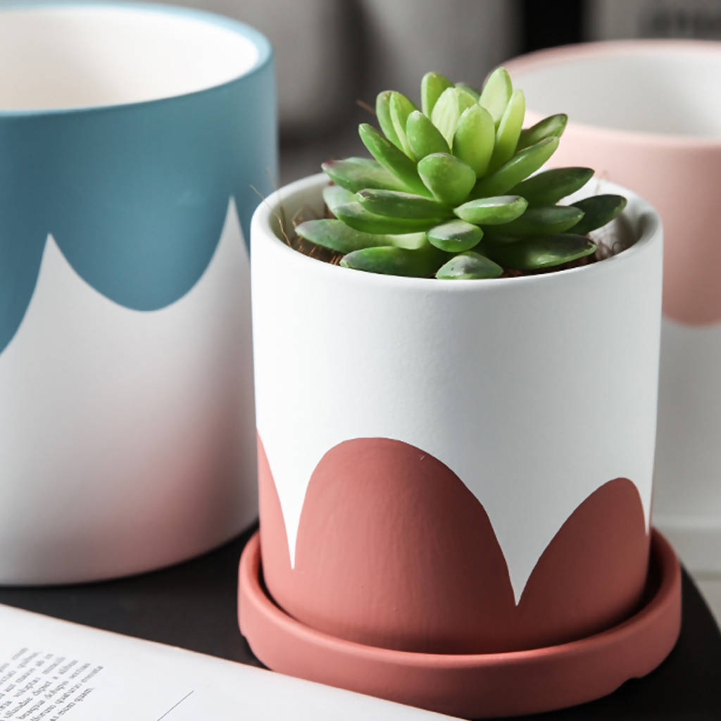 Kola Planter in Pink