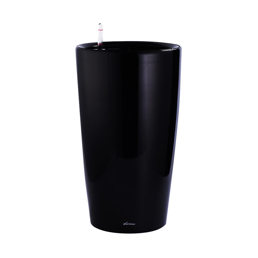 ZZ plant in Black High Cylinder Series 39.5cm (1.2m)