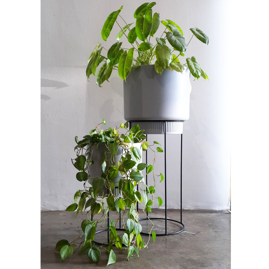 B. for Studio Round 22cm in Living Concrete