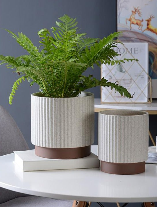 Cafe Latte Planter 20cm