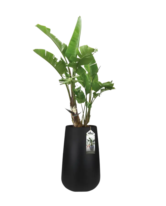 Pure Cone High 45cm in Black