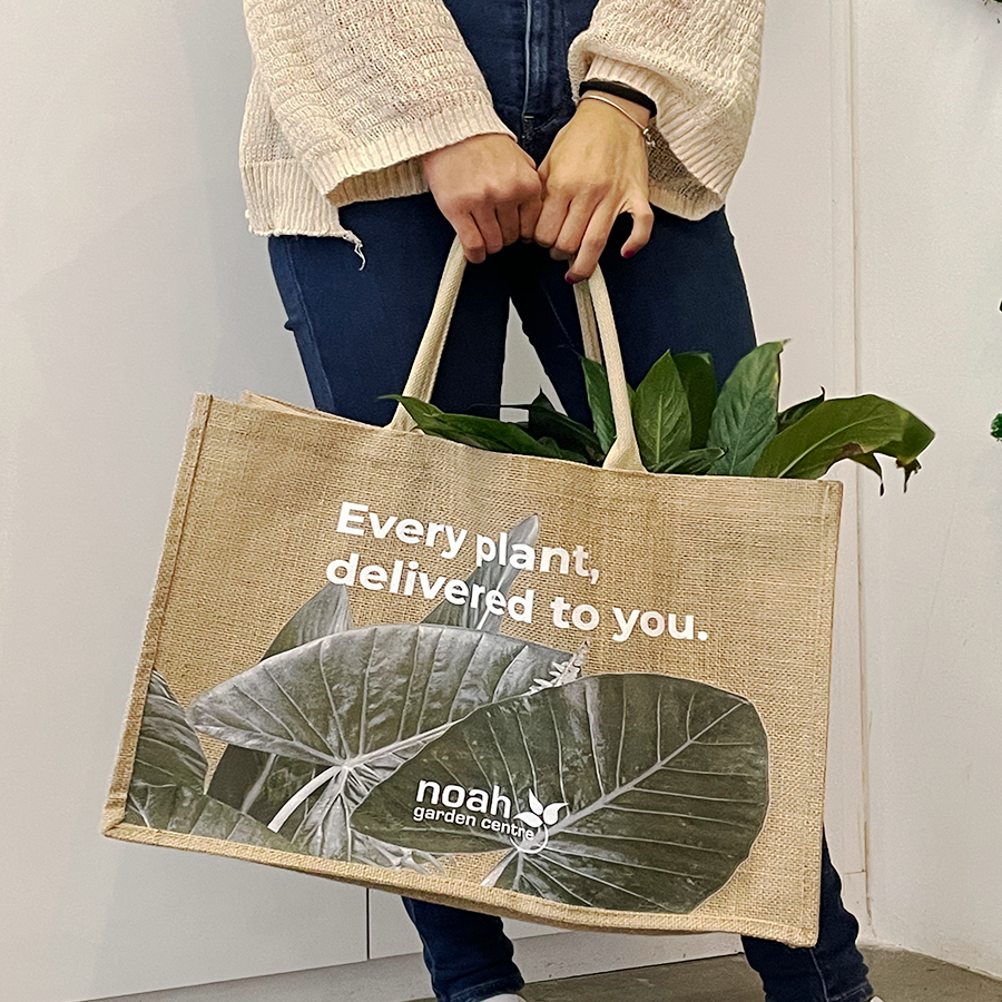 Noah sales tote bag