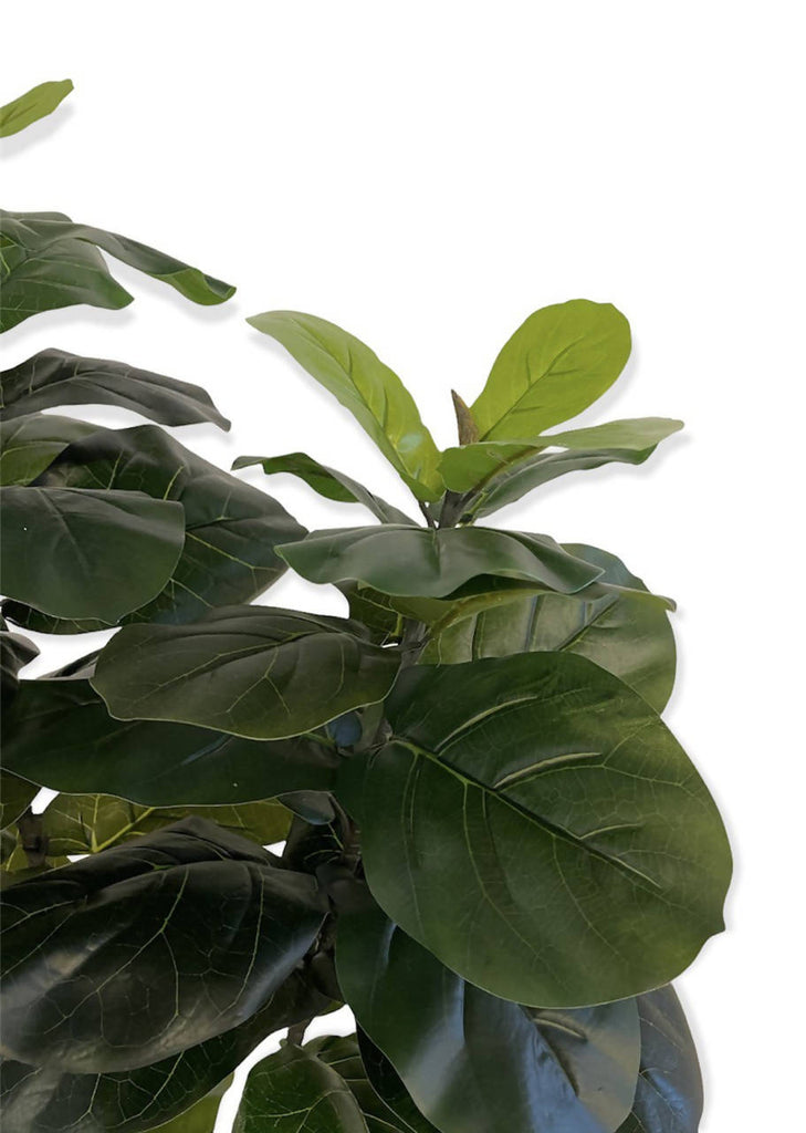 Artificial Ficus Lyrata (1.20m)