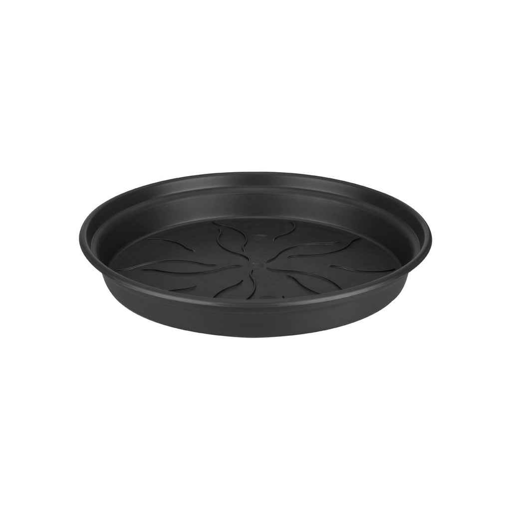 Green Basics Growpot 19cm in Living Black with 17cm Saucer
