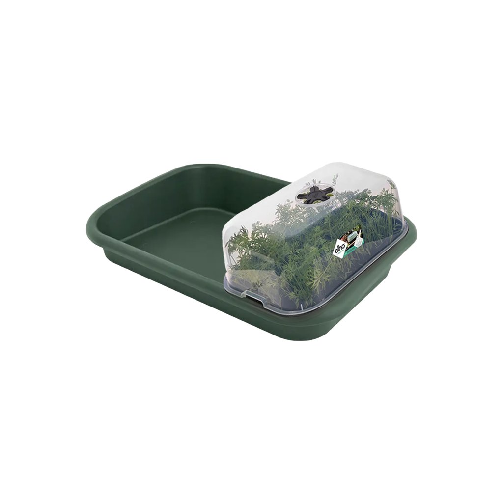Green Basics Grow House M in Leaf Green with Tray