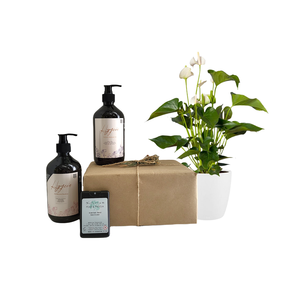 Peace Lily with Hygeia Personal Care Gift Set