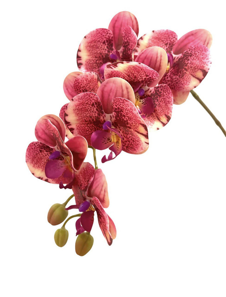 10-Stalk Artificial Phalaenopsis Orchid Arrangement with Assorted Leaves (0.70m)