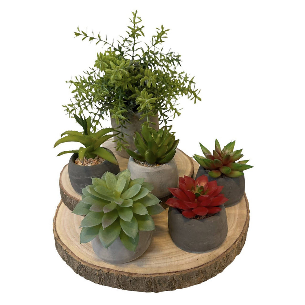 Artificial Potted Mini Plant Set (0.2m)