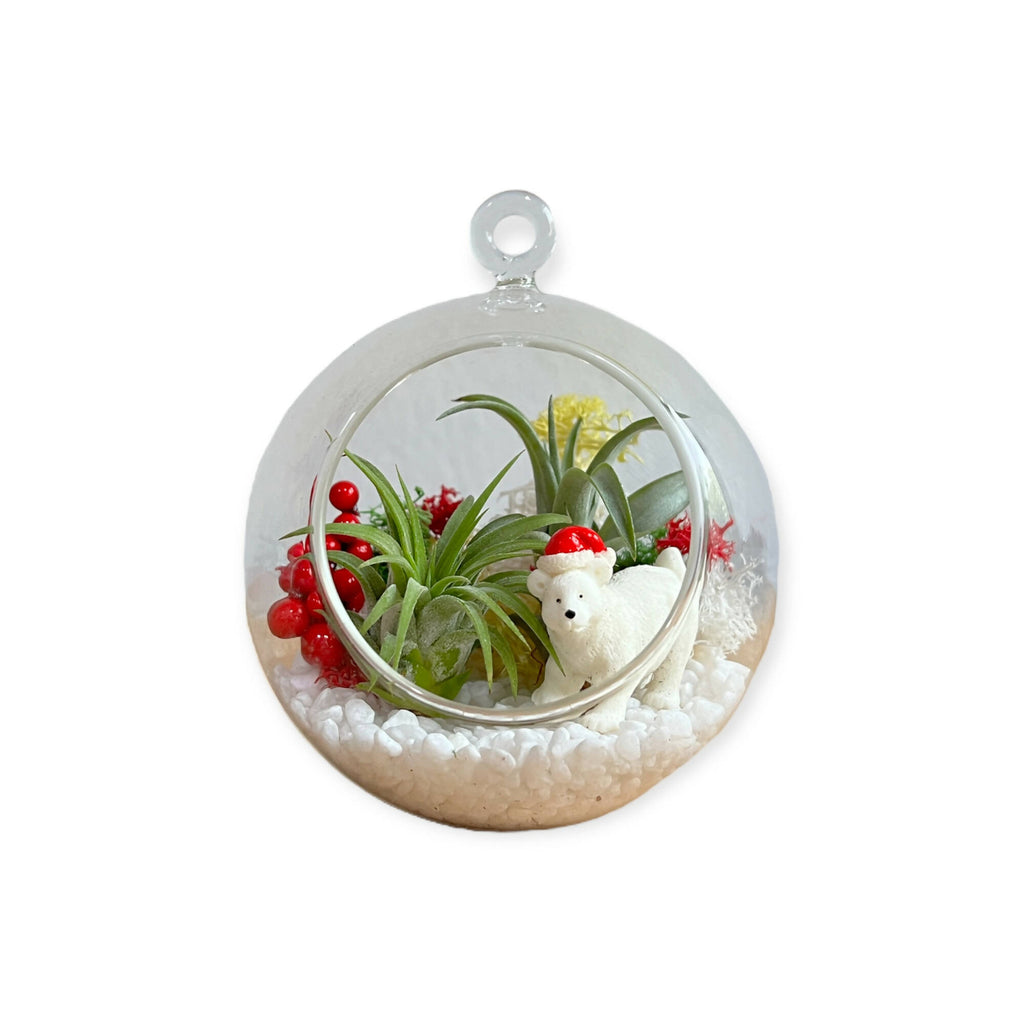 Christmas Airplant Snow Globe Terrarium DIY Kit