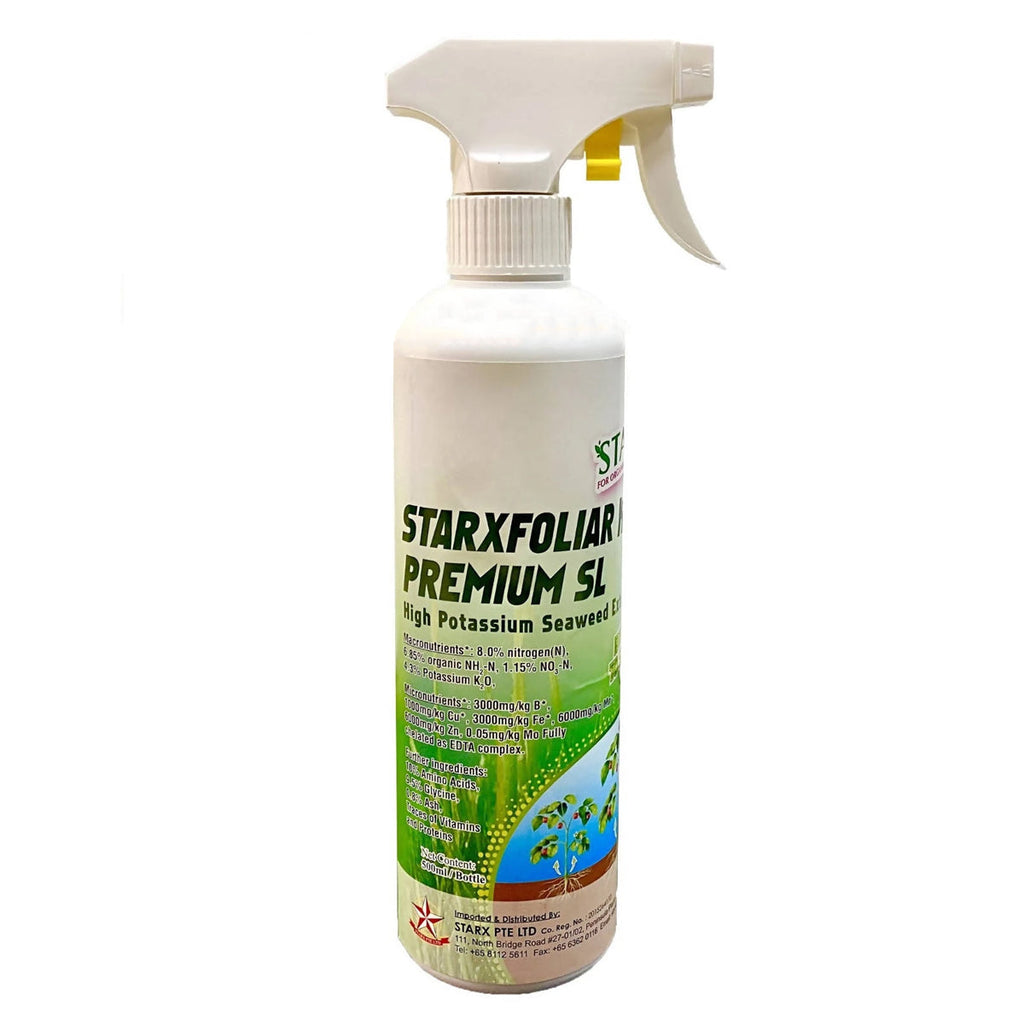 Starxfolia Kelp Premium SL (500ML)