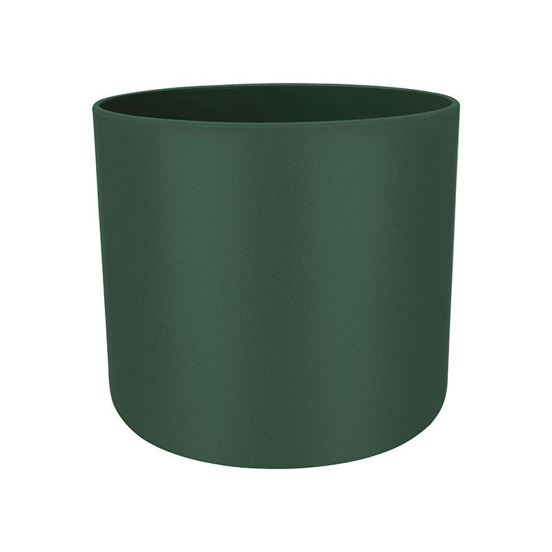 ZZ plant in Leaf Green B for Soft Round 14cm (0.4m)