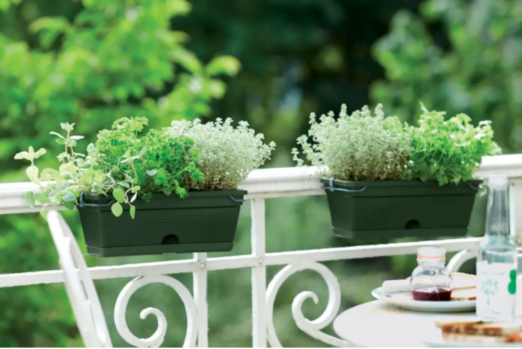 Green Basics Trough Mini Allin1 30cm in Living Black