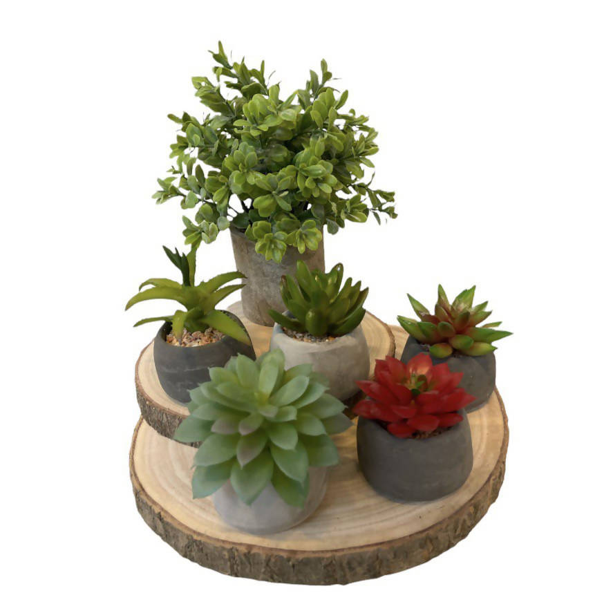 Artificial Potted Mini Plant Set (0.2m)