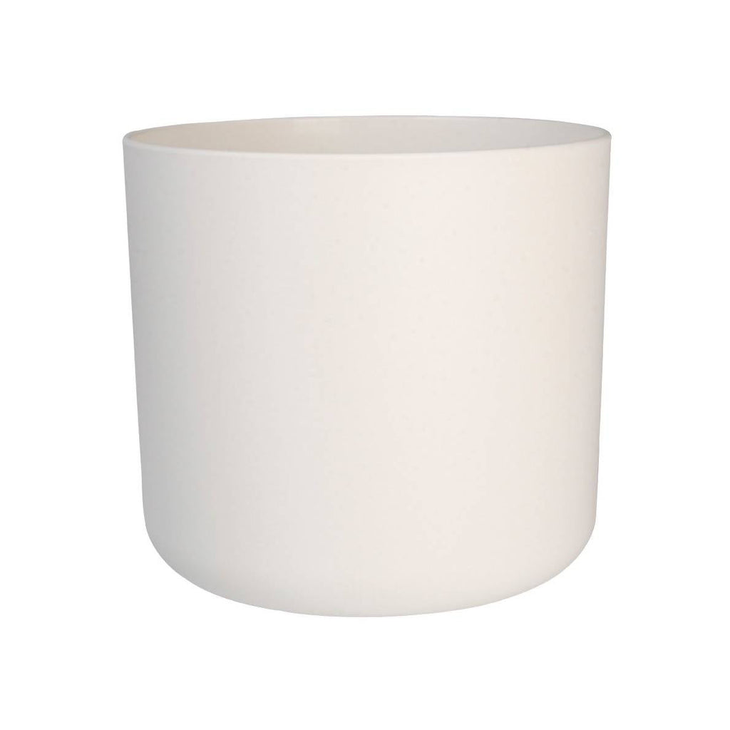 Syngonium 'Milk Confetti' in White B For Soft Round 18cm (0.3m)