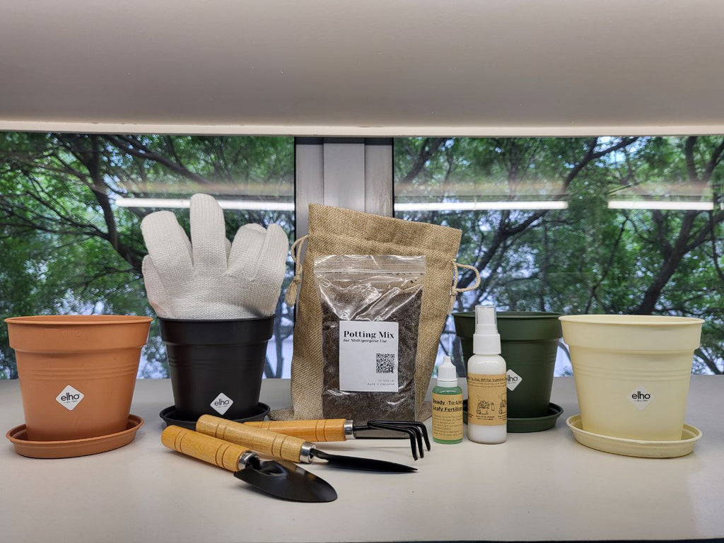 All You Need Gardening Starter Kit