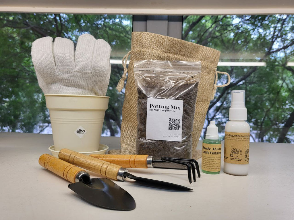 All You Need Gardening Starter Kit