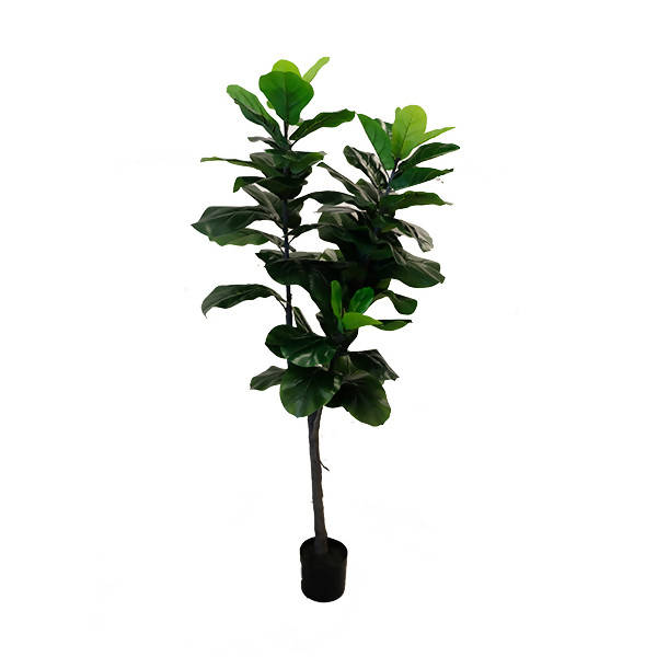 Artificial Ficus Lyrata (1.80m)